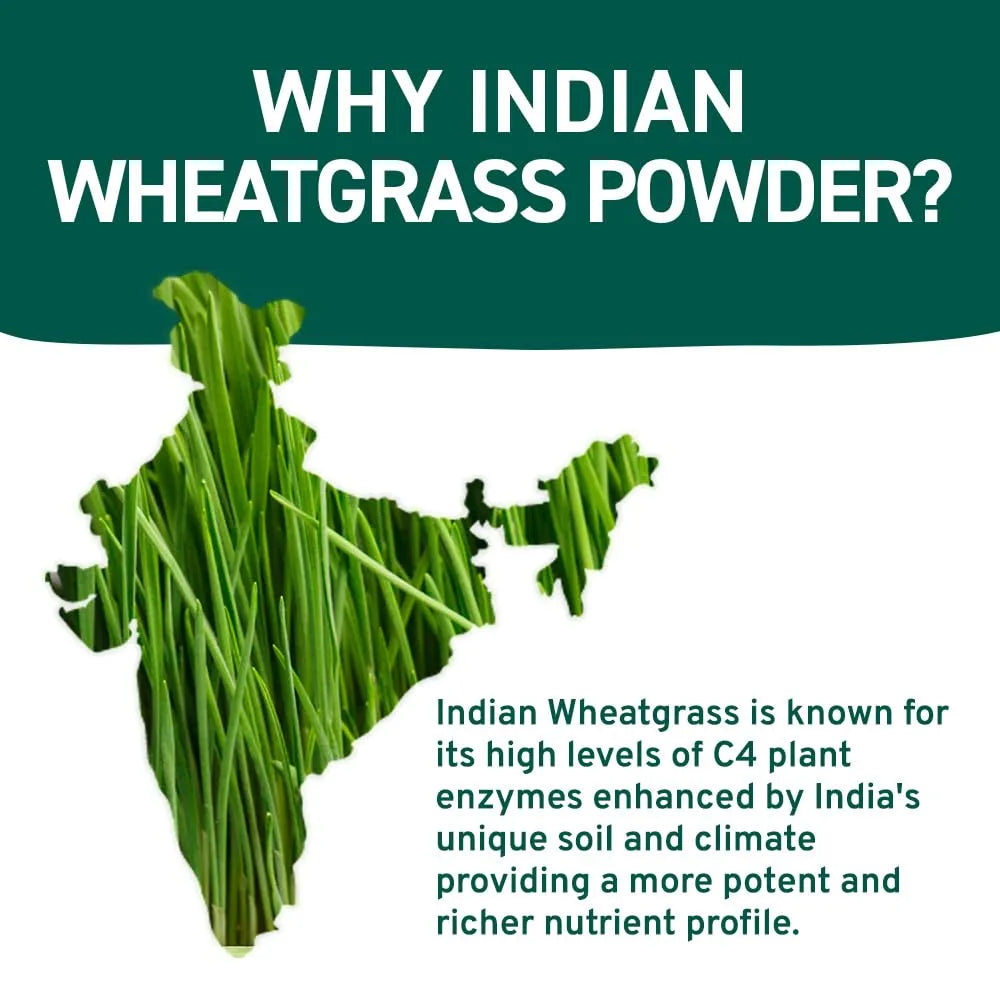 HANDPICK - HANDPICK USDA Organic Wheatgrass Powder 283Gr. - The Red Vitamin MX - Suplementos Alimenticios - {{ shop.shopifyCountryName }}