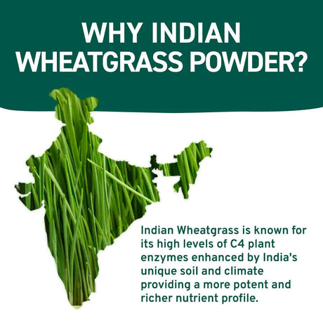 HANDPICK - HANDPICK USDA Organic Wheatgrass Powder 283Gr. - The Red Vitamin MX - Suplementos Alimenticios - {{ shop.shopifyCountryName }}