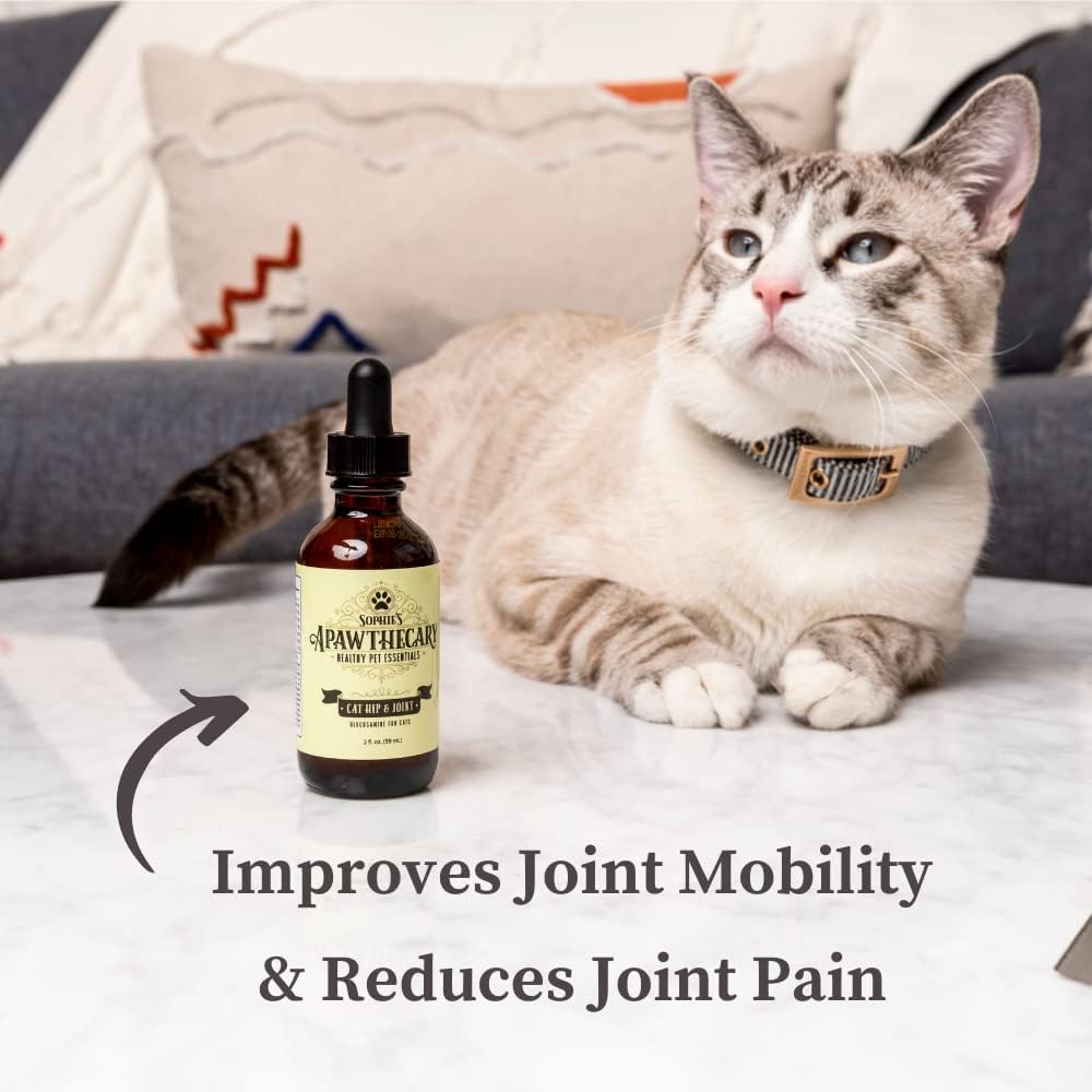Sophie's Apawthecary Cat Hip and Joint Glucosamine Liquid 2 Fl.Oz.