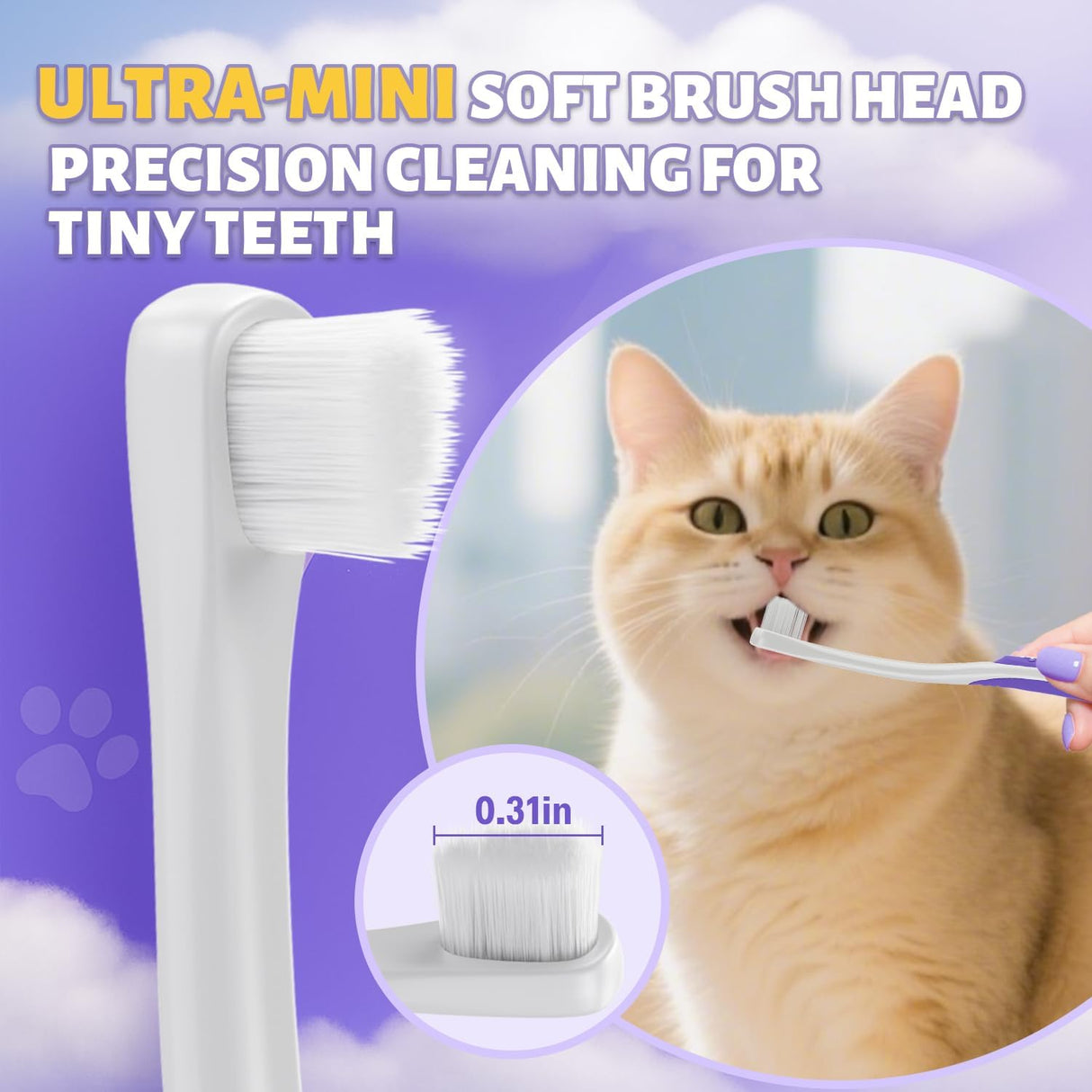 VVHOMIFE Cat Toothbrush and Toothpaste Kit