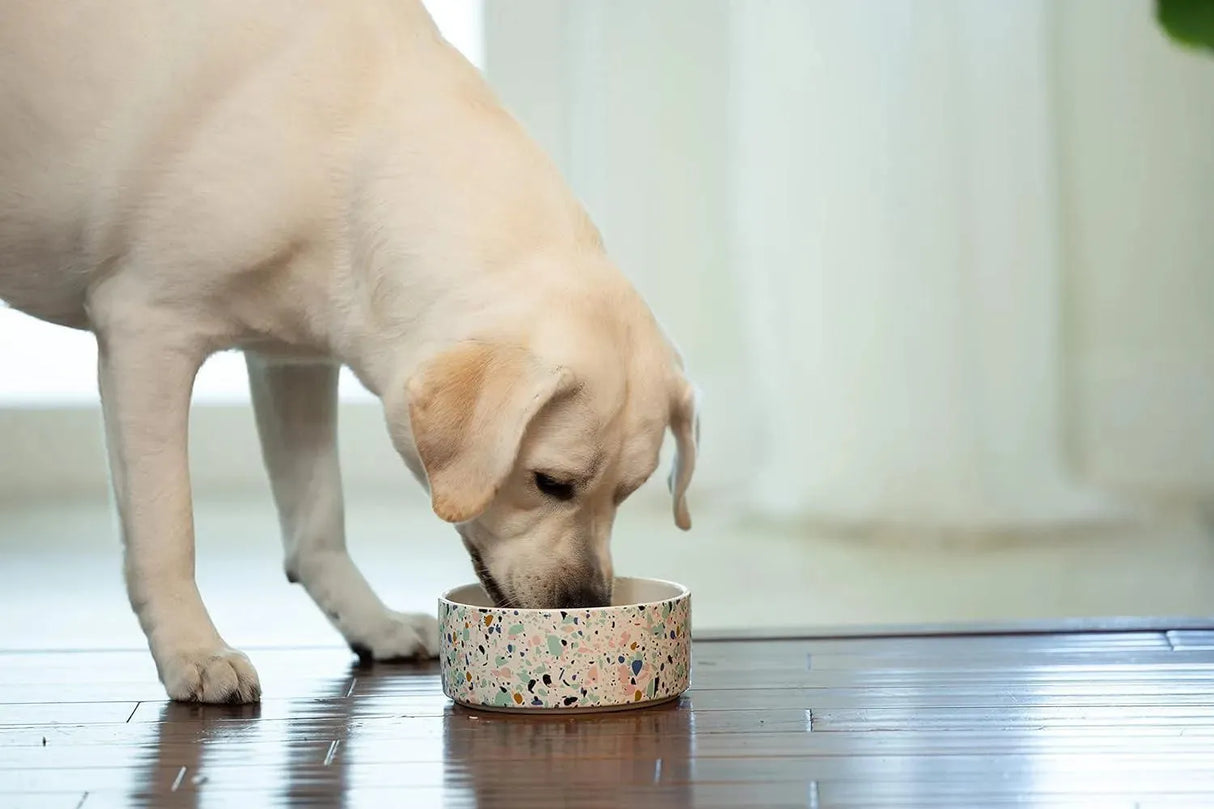 DENTAL FRESH - Dental Fresh Water Additive for Dogs Original Formula 946Ml. - The Red Vitamin MX - Cuidado Dental Para Perros - {{ shop.shopifyCountryName }}