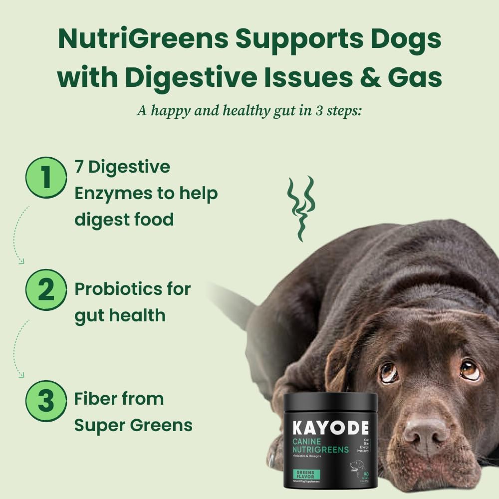 Kayode Canine NutriGreens Vitamins & Probiotics for Dogs 90 Masticables