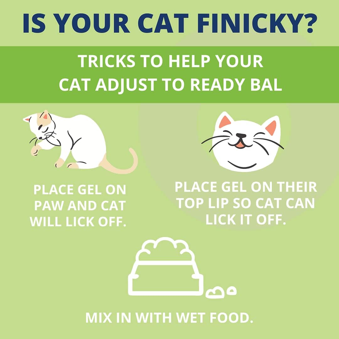 Under the Weather Pet Ready Balance for Cats Oral Probiotic and Prebiotic Gel 1.05 Oz.