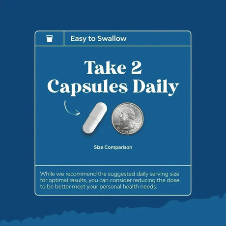 NATURES CRAFT - Natures Craft Lung Detox Mullein Leaf 60 Capsulas - The Red Vitamin MX - Suplementos Alimenticios - {{ shop.shopifyCountryName }}