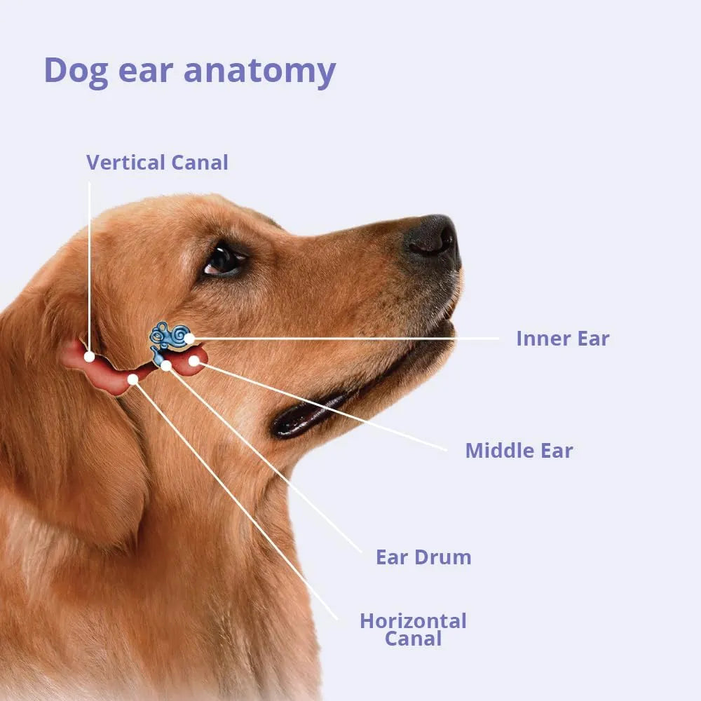 DECHRA - Dechra TrizULTRA+Keto Flush 12 Fl.Oz. - The Red Vitamin MX - Cuidado Del Oído De Perros - {{ shop.shopifyCountryName }}