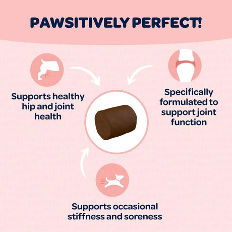 READY PET GO - Ready Pet Go! Hip and Joint Chews for Dogs 90 Masticables - The Red Vitamin MX - Cuidado De Cadera Y Articulaciones Para Perros - {{ shop.shopifyCountryName }}