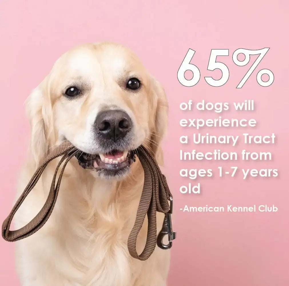 K-PLUS MAX - K-PLUS MAX Urinary Tract Health Soft Chews for Dogs 90 Masticables - The Red Vitamin MX - Salud De Tracto Urinario Para Perros - {{ shop.shopifyCountryName }}