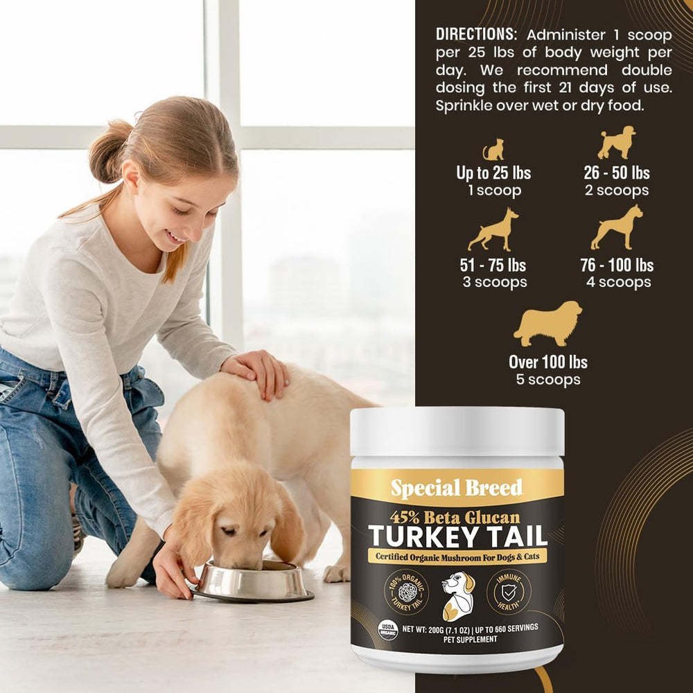 SPECIAL BREED - Special Breed Organic Turkey Tail Mushroom for Dogs 200Gr. - The Red Vitamin MX - Suplementos Herbales Para Perros - {{ shop.shopifyCountryName }}