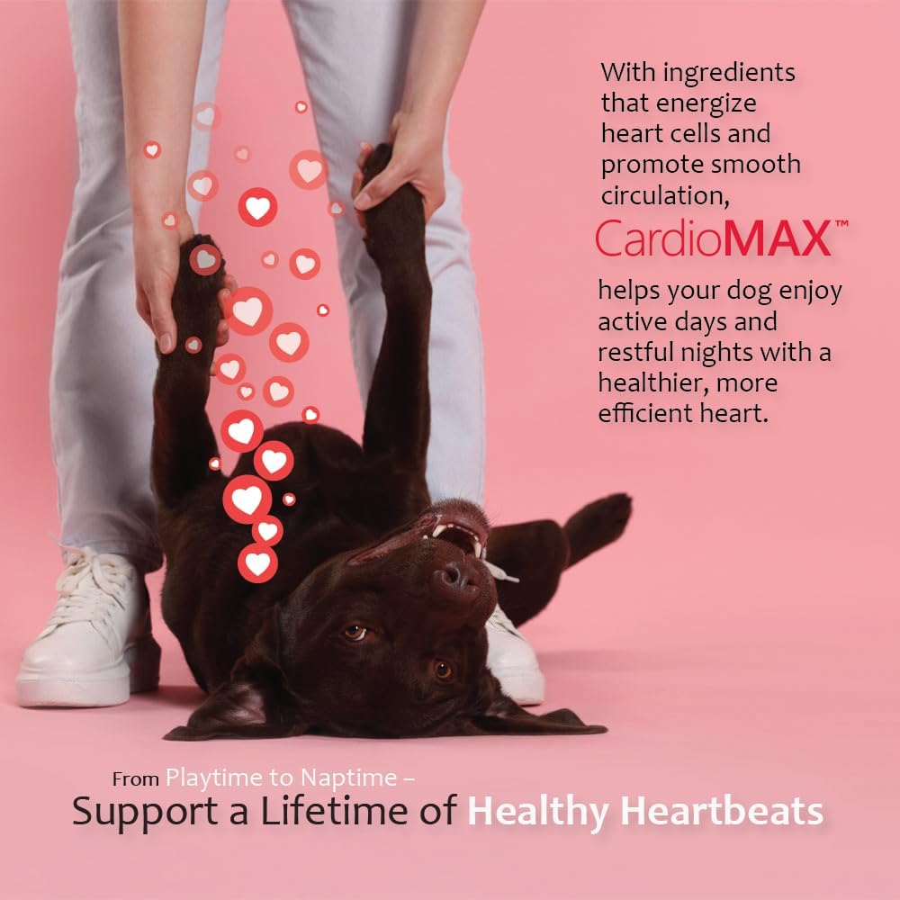 CARDIOMAX Heart Support Supplement for Dogs Vet-Formulated 60 Masticables