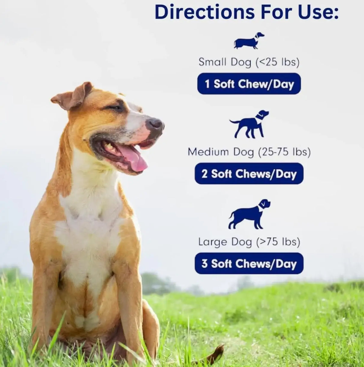 ELECTRIC ELIXIR - Electric Elixir Dogs Immune Support Mushroom Supplement 90 Masticables - The Red Vitamin MX - Suplementos Herbales Para Perros - {{ shop.shopifyCountryName }}