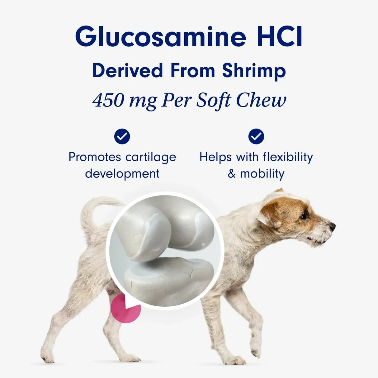 PETLAB CO. - PetLab Co. Joint Care Chews for Dogs Salmon Flavor 30 Masticables - The Red Vitamin MX - Cuidado De Cadera Y Articulaciones Para Perros - {{ shop.shopifyCountryName }}