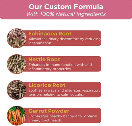 PAWVITAL - PawVital Cranberry Dog UTI Chews with D Mannose 90 Masticables - The Red Vitamin MX - Salud De Tracto Urinario Para Perros - {{ shop.shopifyCountryName }}