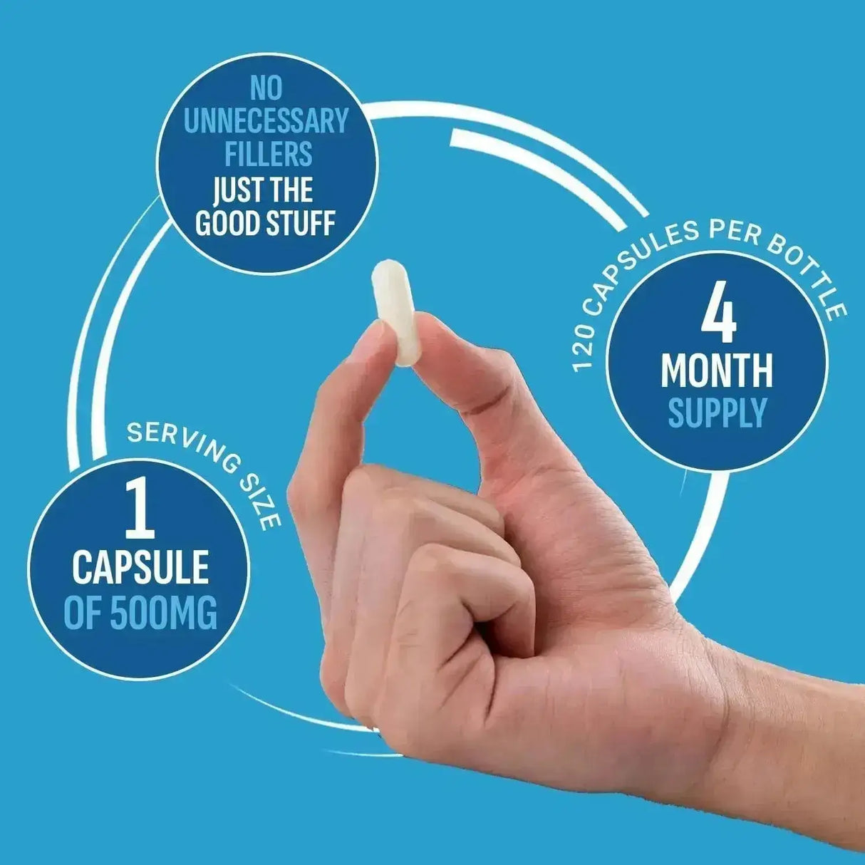 PURELY OPTIMAL - Purely Optimal Magnesium Complex 500Mg. 120 Capsulas - The Red Vitamin MX - Suplementos Alimenticios - {{ shop.shopifyCountryName }}
