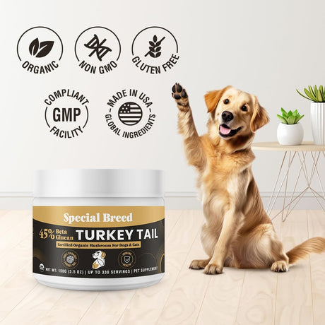 SPECIAL BREED - Special Breed Organic Turkey Tail Mushroom for Dogs 100Gr. - The Red Vitamin MX - Suplementos Herbales Para Perros - {{ shop.shopifyCountryName }}