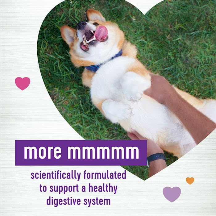 Wellness Belly Pumpkin Patch Flavored Soft Chew Digestive Health 45 Masticables