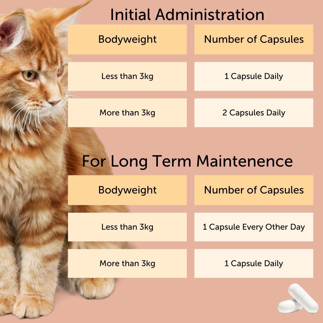 FELIWAY Cystease Advanced Urinary Tract Support for Cats 30 Tabletas