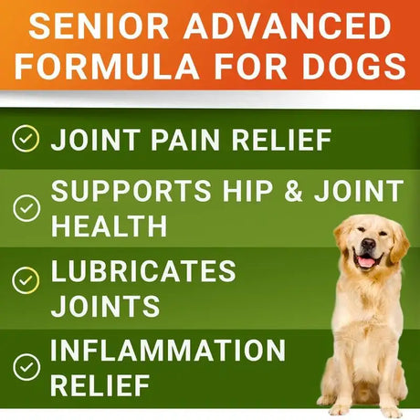 STRELLALAB - STRELLALAB Senior Advanced Glucosamine Chondroitin Joint for Dogs Bacon Flavor 120 Masticables - The Red Vitamin MX - Cuidado De Cadera Y Articulaciones Para Perros - {{ shop.shopifyCountryName }}