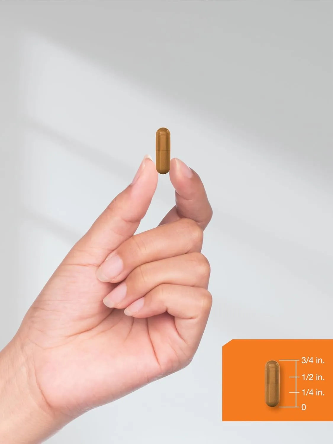 HORBAACH - Horbaach Vitamin B-2 100Mg. 180 Capsulas - The Red Vitamin MX - Suplementos Alimenticios - {{ shop.shopifyCountryName }}