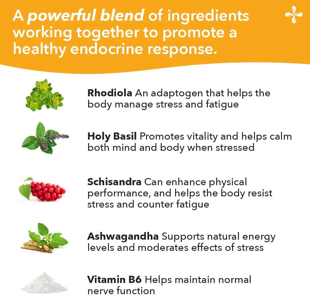 LIFE SEASONS - LifeSeasons Adrenal-T Adrenal Fatigue Support 60 Capsulas - The Red Vitamin MX - Suplementos Alimenticios - {{ shop.shopifyCountryName }}