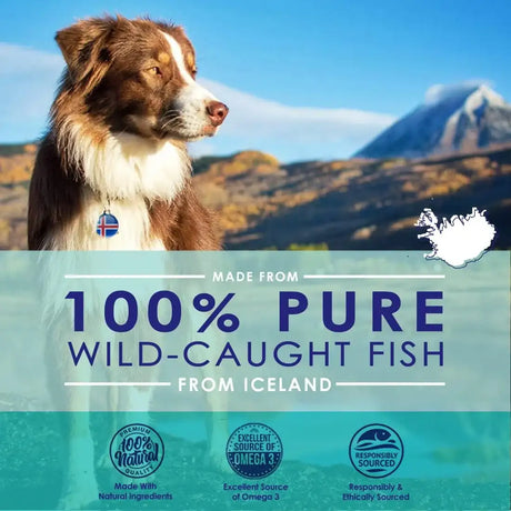 NULIFE - NuLife Liquid Fish Oil for Dogs 16 Fl.Oz. - The Red Vitamin MX - Aceite De Pescado Para Perros - {{ shop.shopifyCountryName }}