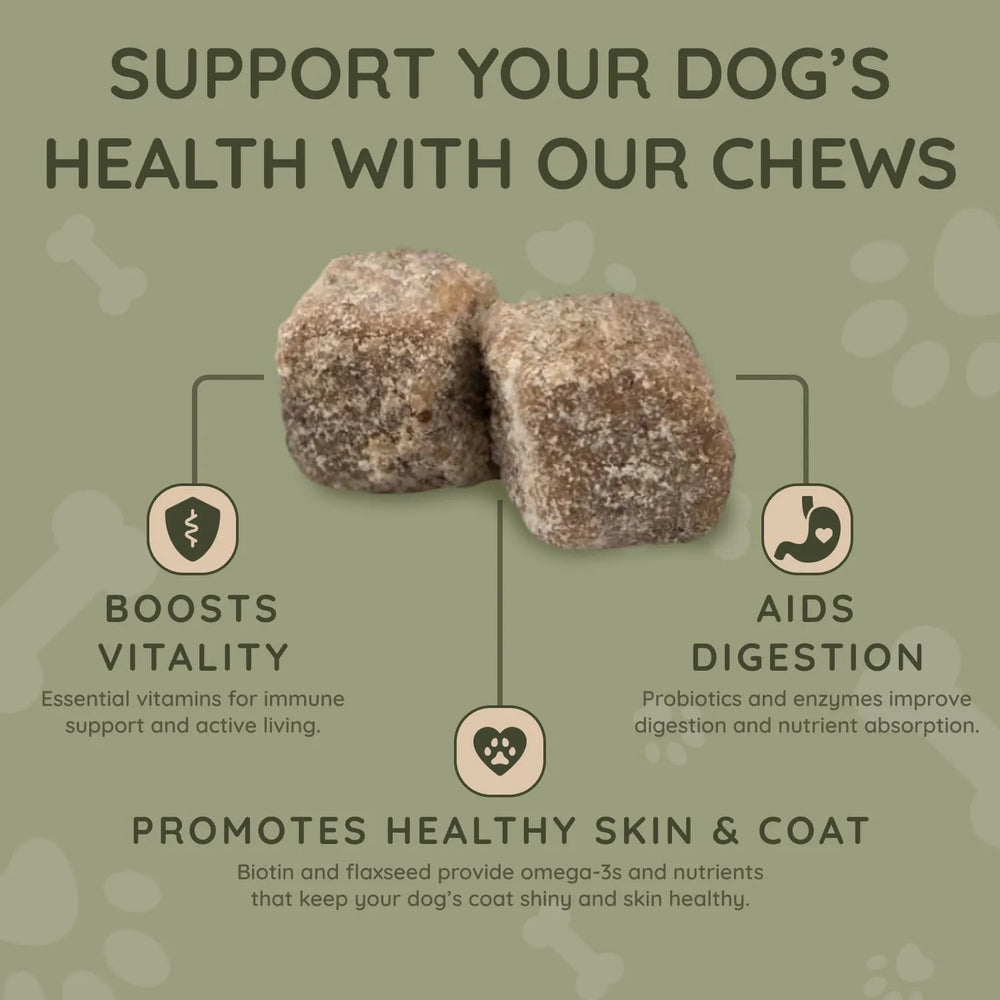 ASHER HOUSE WELLNESS - ASHER HOUSE WELLNESS Dog Multivitamin Chews 120 Masticables - The Red Vitamin MX - Multivitamínicos Para Perros - {{ shop.shopifyCountryName }}