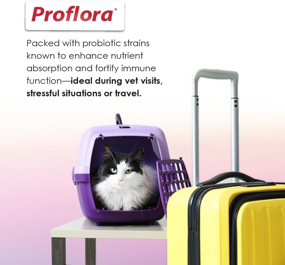 Proflora Probiotics for Cats-Complete Gut Health & Immune Support 30 Paquetes