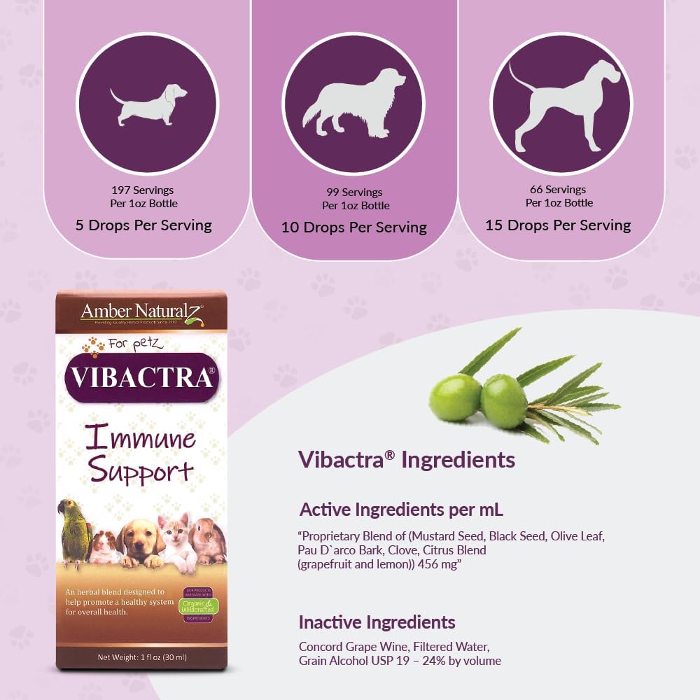 Amber NaturalZ Vibactra Immune Support Herbal Supplement for Dogs 1 Fl.Oz.