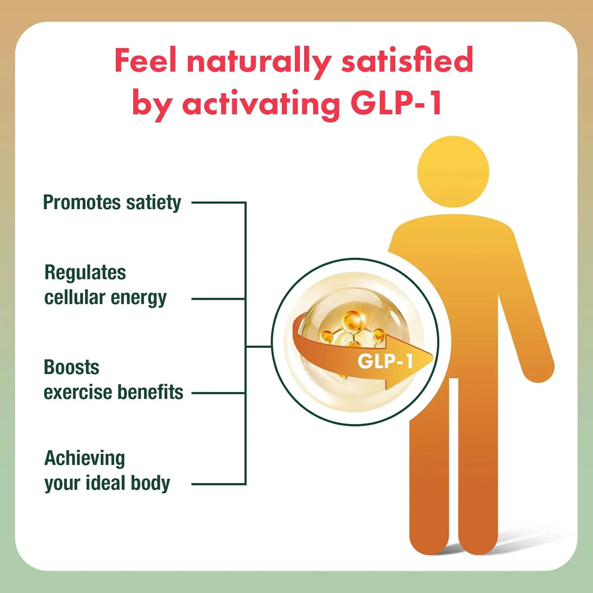 CAELUMCORE - CaelumCore Liposomal Berberine HCL 1500Mg. 60 Capsulas Blandas - The Red Vitamin MX - Suplementos Alimenticios - {{ shop.shopifyCountryName }}