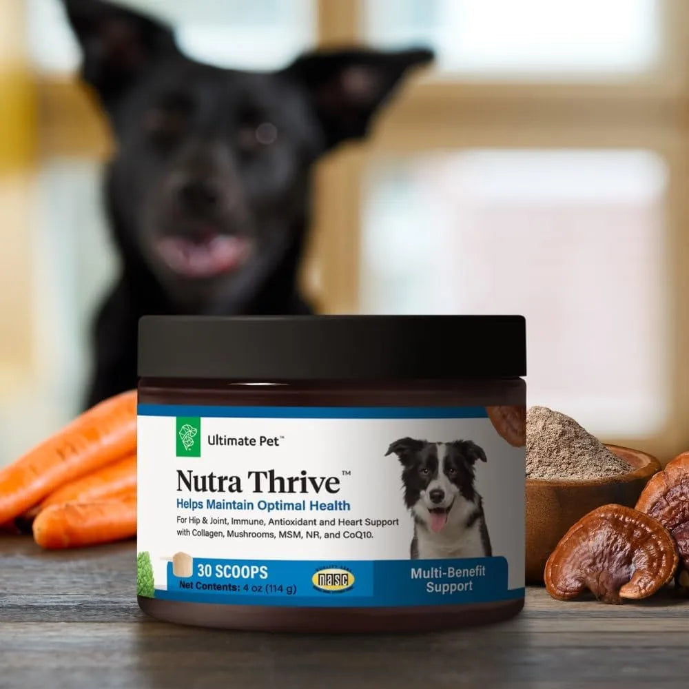 ULTIMATE PET - Ultimate Pet Nutrition Nutra Thrive Canine 40-in-1 Nutritional Powder 30 Servicios 93Gr. - The Red Vitamin MX - Multivitamínicos Para Perros - {{ shop.shopifyCountryName }}