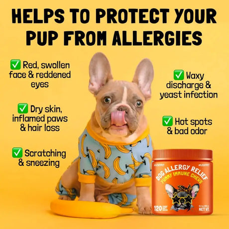 LEGITPET - LEGITPET Allergy Relief Chews for Dogs 120 Masticables - The Red Vitamin MX - Remedios Para La Picazón De Perros - {{ shop.shopifyCountryName }}