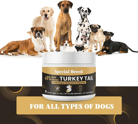 SPECIAL BREED - Special Breed Organic Turkey Tail Mushroom for Dogs 100Gr. - The Red Vitamin MX - Suplementos Herbales Para Perros - {{ shop.shopifyCountryName }}