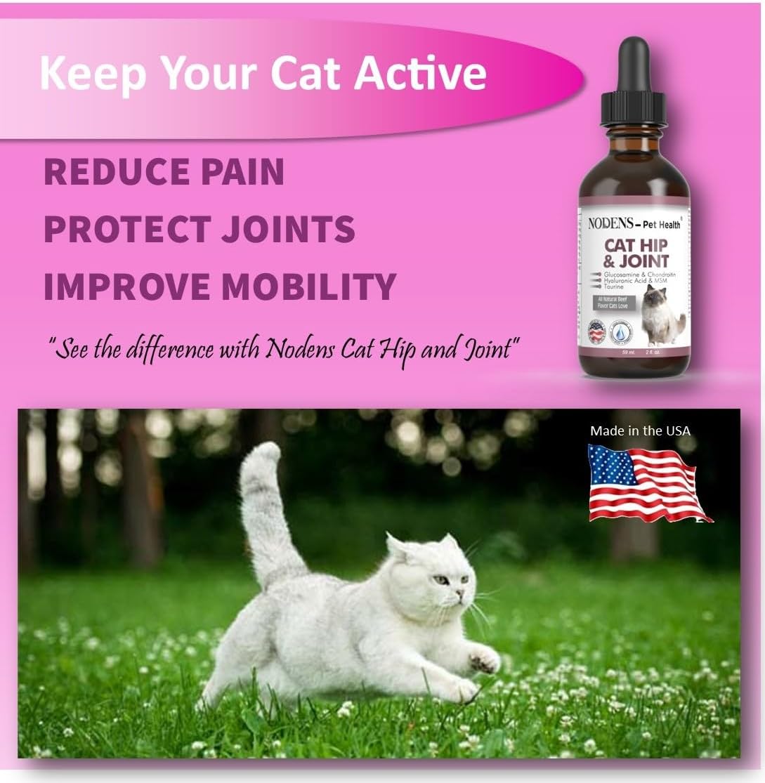 NODENS CAT Hip and Joint Glucosamine for Cats with Chondroitin 2 Fl.Oz.