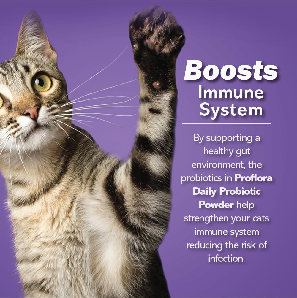 Proflora Probiotics for Cats-Complete Gut Health & Immune Support 30 Paquetes