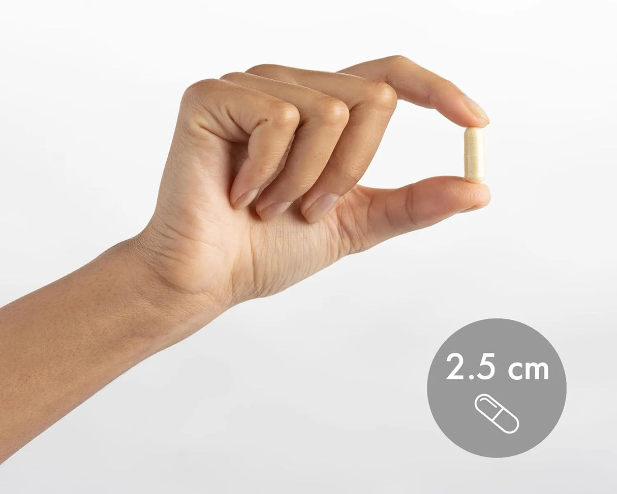 DR MERCOLA - Dr. Mercola Vitamin B Complex 180 Capsulas - The Red Vitamin MX - Suplementos Alimenticios - {{ shop.shopifyCountryName }}