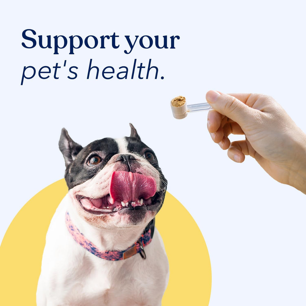 HONEST PAWS - Honest Paws Turkey Tail Mushroom for Dogs 30 Servicios 30Gr. - The Red Vitamin MX - Suplementos Herbales Para Perros - {{ shop.shopifyCountryName }}