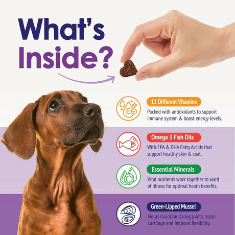 NULIFE - NuLife Natural Pet Health Dog Multivitamin 22-in-1 Support 60 Masticables - The Red Vitamin MX - Multivitamínicos Para Perros - {{ shop.shopifyCountryName }}