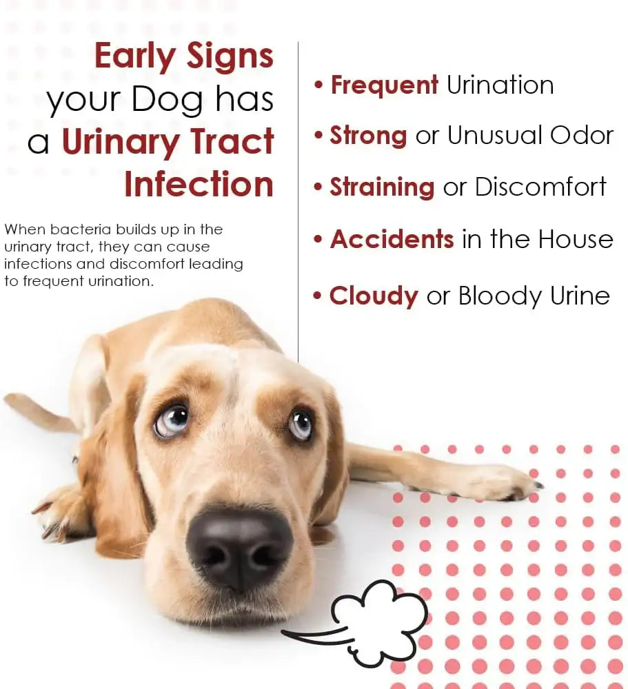 PET HEALTH SOLUTIONS - Pet Health Solutions Cranberry D-Mannose Urinary Tract Supplement for Dogs 120 Tabletas Masticables - The Red Vitamin MX - Salud De Tracto Urinario Para Perros - {{ shop.shopifyCountryName }}