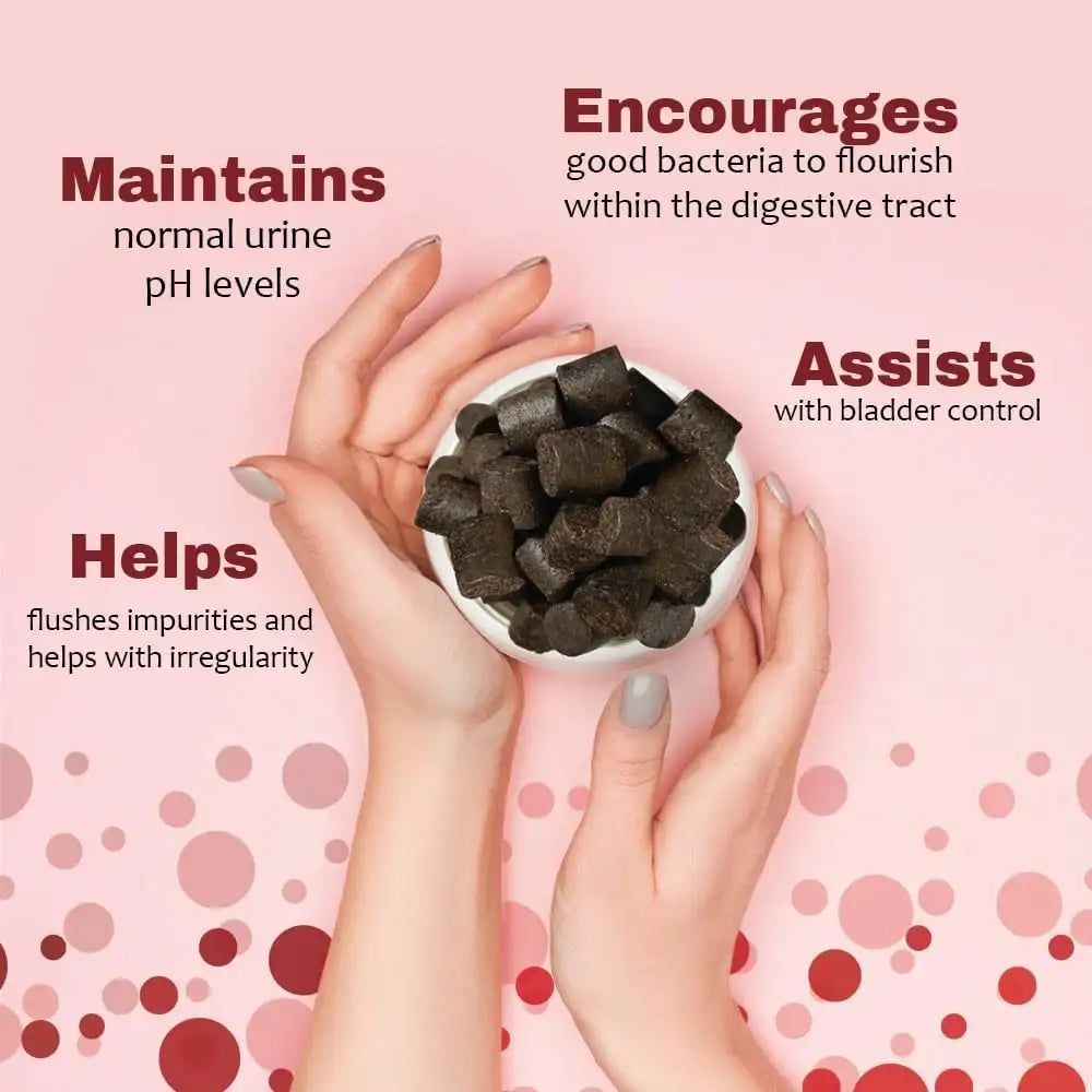 PET HEALTH SOLUTIONS - Pet Health Solutions Cranberry D-Mannose Urinary Tract Supplement for Dogs 120 Tabletas Masticables - The Red Vitamin MX - Salud De Tracto Urinario Para Perros - {{ shop.shopifyCountryName }}