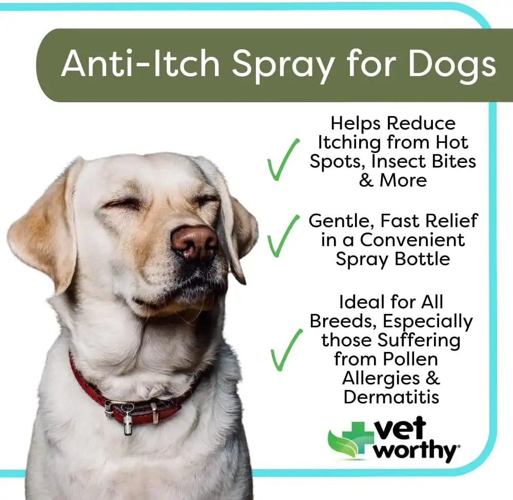 VET WORTHY - Vet Worthy Anti-Itch Spray for Dogs 8 Fl.Oz. - The Red Vitamin MX - Remedios Para La Picazón De Perros - {{ shop.shopifyCountryName }}