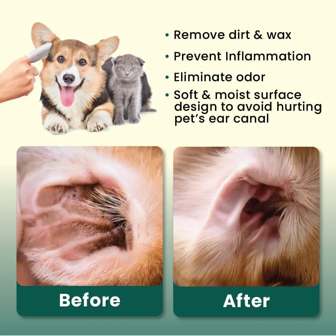 BLAZEGO - Blazego Ear Finger Wipes for Pets 50 Toallitas - The Red Vitamin MX - Cuidado Del Oído De Perros - {{ shop.shopifyCountryName }}