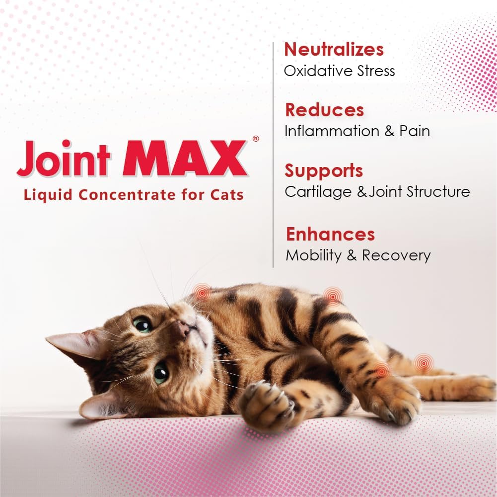 Joint Max Liquid for Cats 2 Fl.Oz.