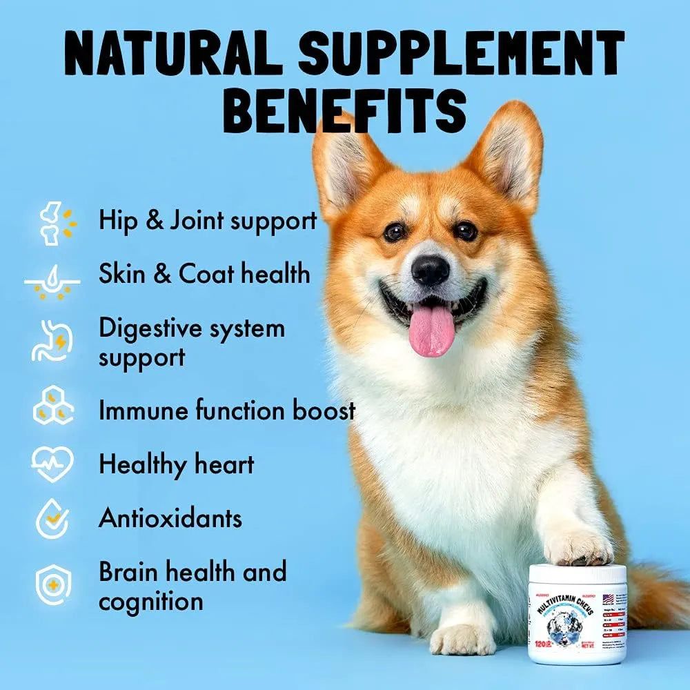LEGIPET - LEGITPET Dog Vitamins 30 Masticables - The Red Vitamin MX - Multivitamínicos Para Perros - {{ shop.shopifyCountryName }}