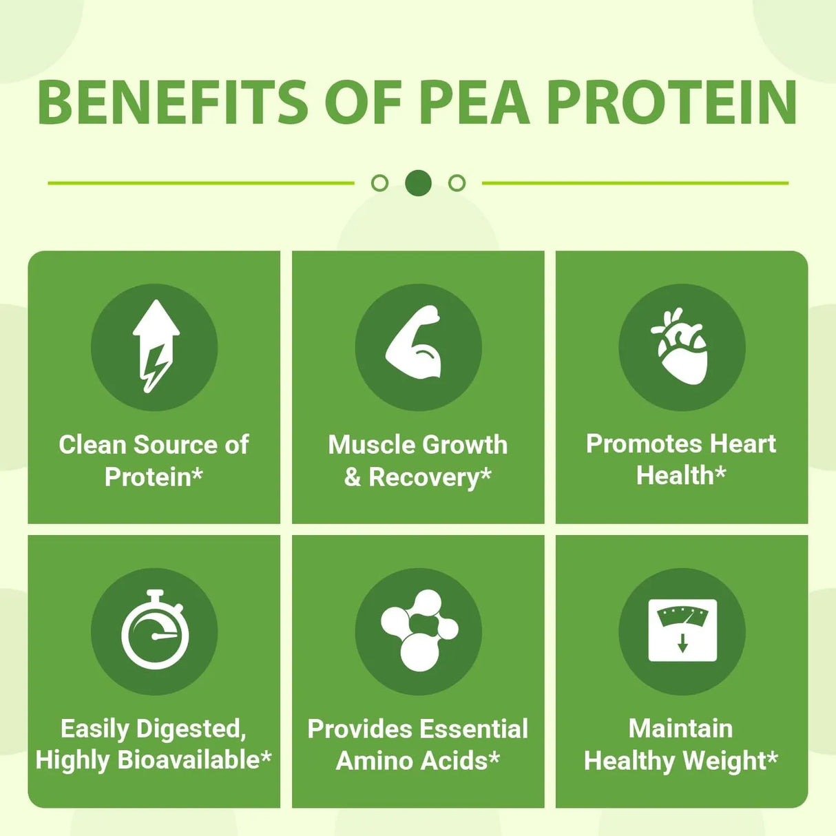 ZAMMEX - Zammex Organic Pea Protein Powder Natural Flavor 1,190Gr. - The Red Vitamin MX - Suplementos Alimenticios - {{ shop.shopifyCountryName }}