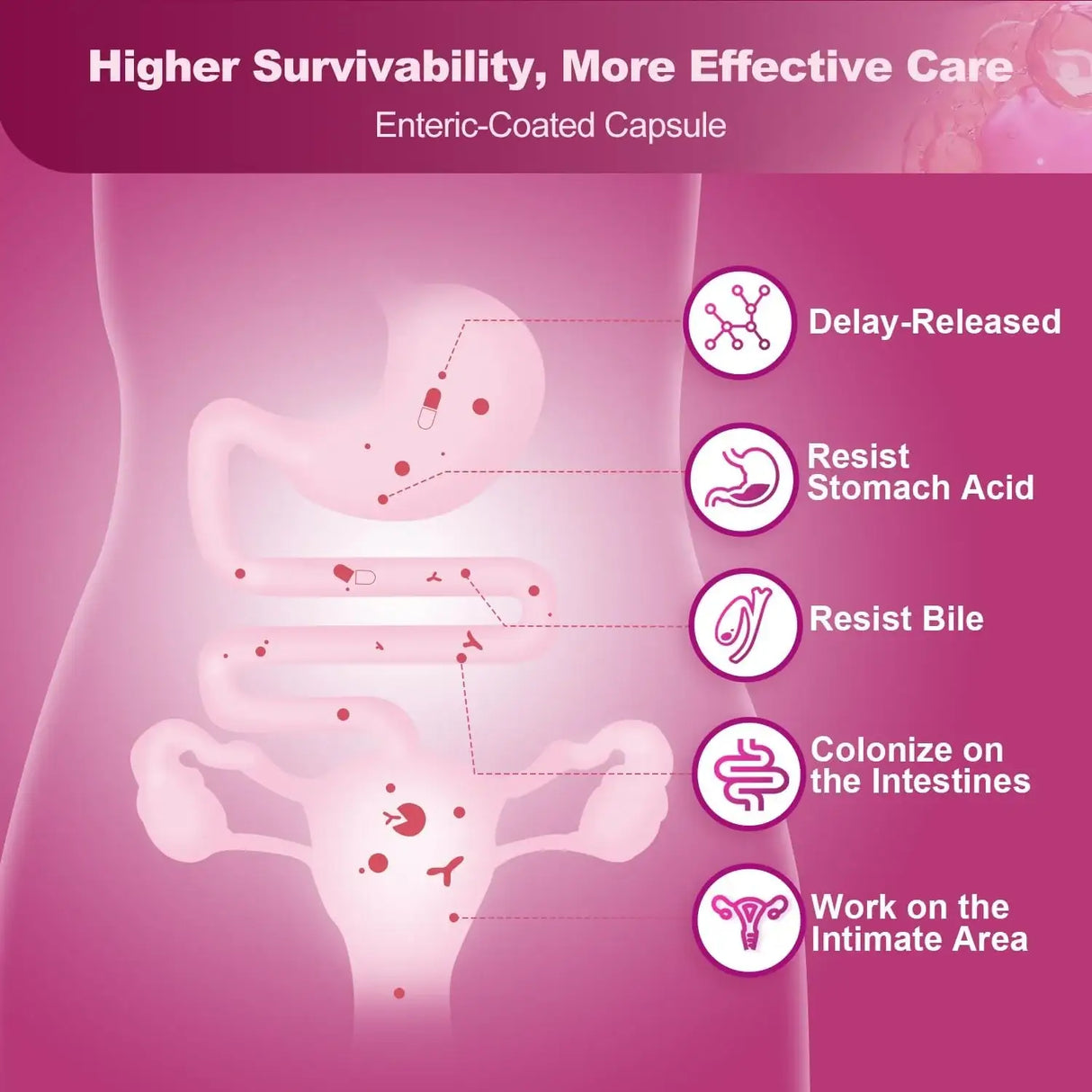 NATURE TARGET - NATURE TARGET Urinary Tract Health 90 Capsulas - The Red Vitamin MX - Suplementos Alimenticios - {{ shop.shopifyCountryName }}