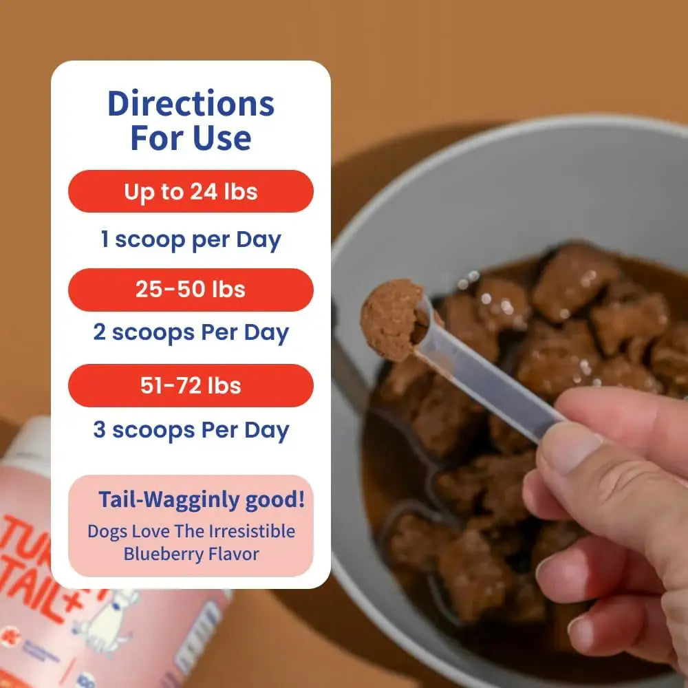 FIFTH & FIDO - Fifth & Fido Turkey Tail Mushroom for Dogs 100 Servicios 105Gr. - The Red Vitamin MX - Suplementos Herbales Para Perros - {{ shop.shopifyCountryName }}