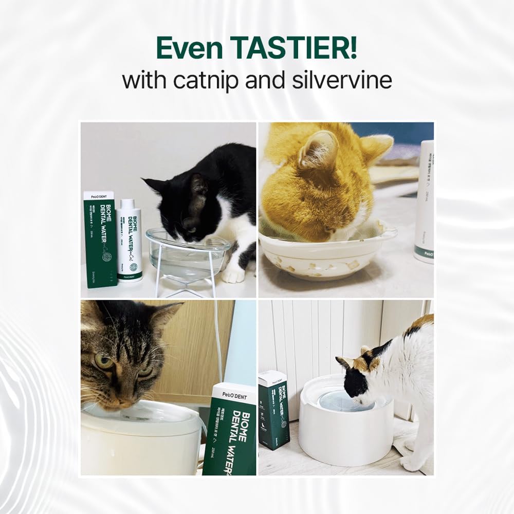 PetO'Dent Dental Water Additive for Cats 250Ml.