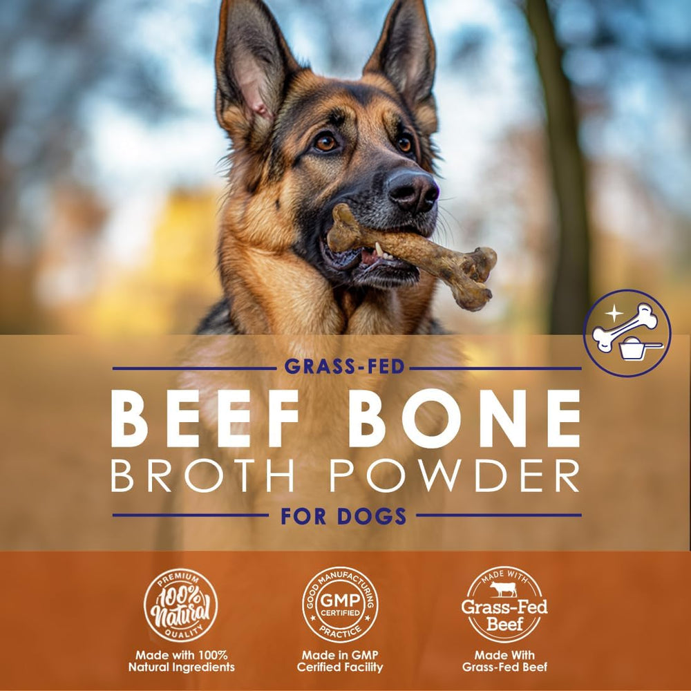NULIFE - NuLife Natural Pet Health Grass-Fed Beef Bone Broth Powder for Dogs with Mushroom Blend 120Gr. - The Red Vitamin MX - Suplementos Herbales Para Perros - {{ shop.shopifyCountryName }}