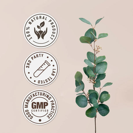 GARDEN ORGANICS - Garden Organics Lemon Balm Alcohol-Free Natural Tincture Extract 4 Fl.Oz. - The Red Vitamin MX - Suplementos Alimenticios - {{ shop.shopifyCountryName }}