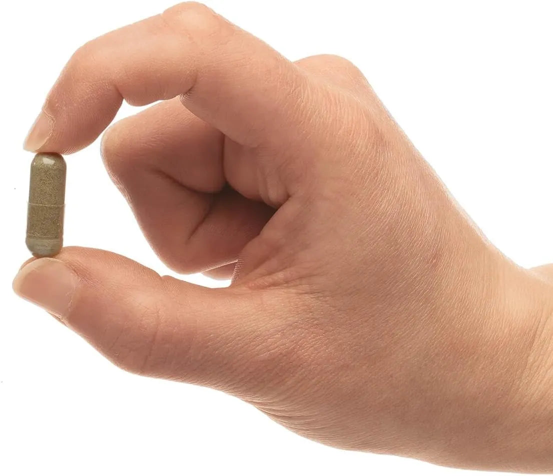 NATIVE REMEDIES - Native Remedies Bladder Control 60 Capsulas - The Red Vitamin MX - Suplementos Alimenticios - {{ shop.shopifyCountryName }}