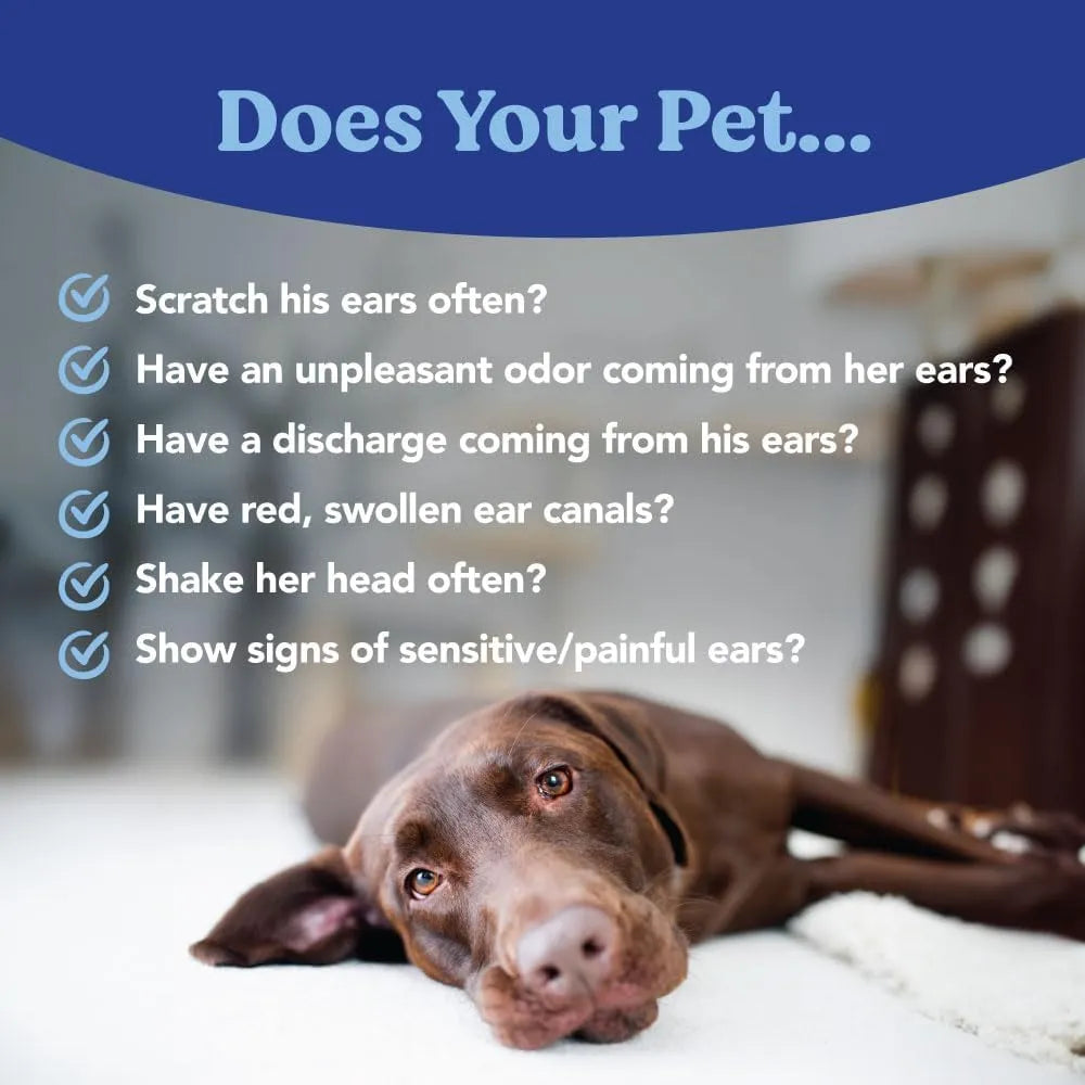 ANGELS’ EYES - ANGELS’ EYES Zinc-Otic Ear Relief Treatment for Dogs and Cats 1 Fl.Oz. - The Red Vitamin MX - Cuidado Del Oído De Perros - {{ shop.shopifyCountryName }}